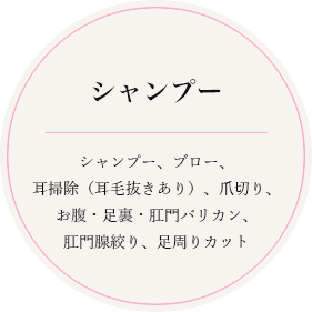 シャンプー